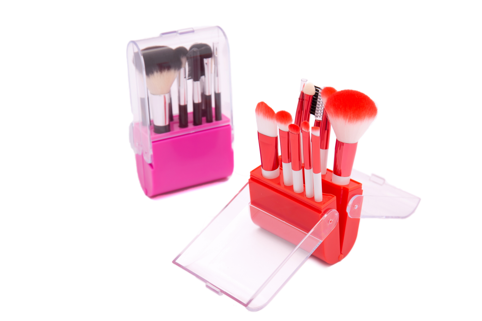 10 piece Brushes in Foldable Case